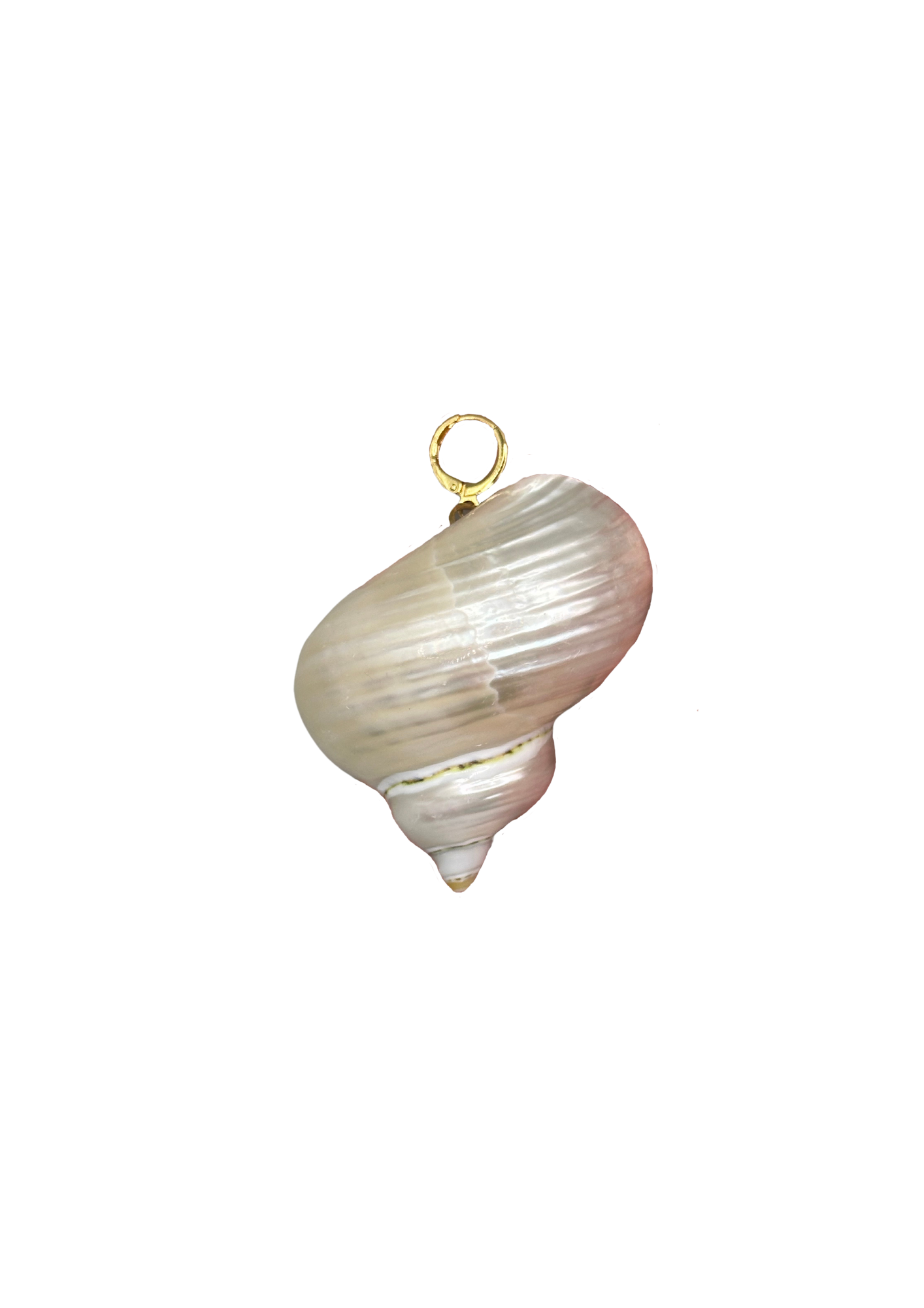 Big Shell Pendant