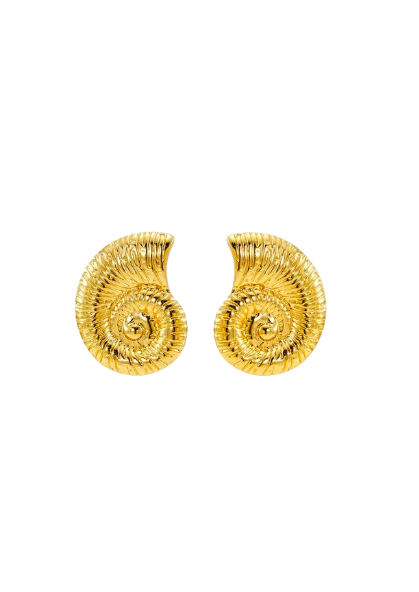 Golden Shell Earrings ~ 2 pc